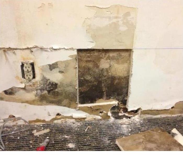 Mold damage in Orlando