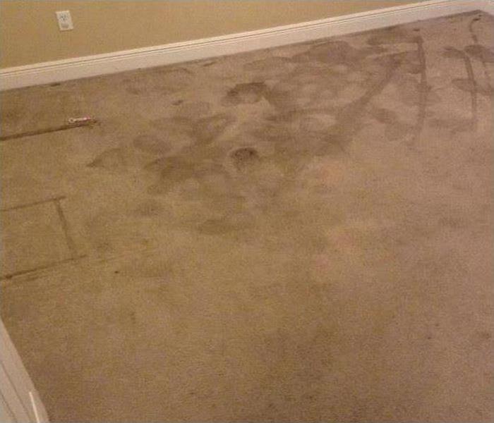 Before Water Damage