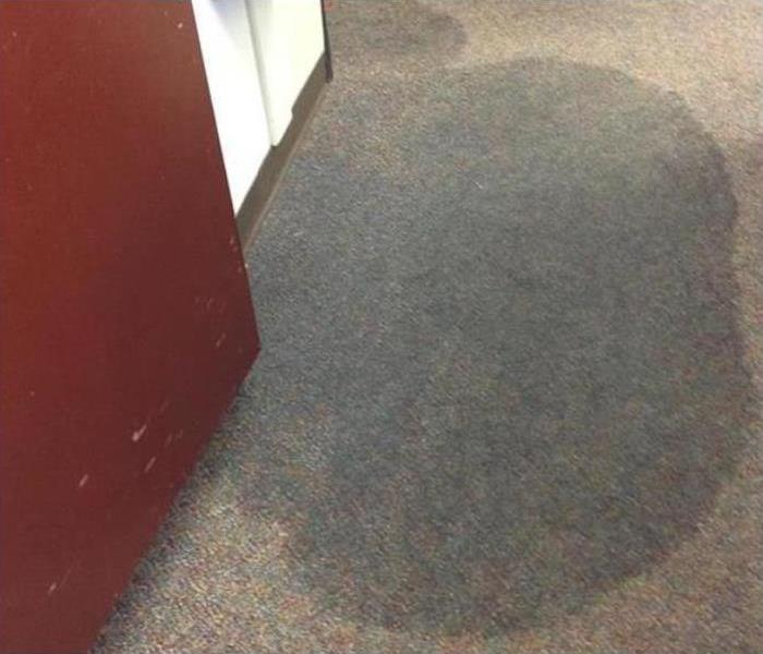 Water Damage in carpet 