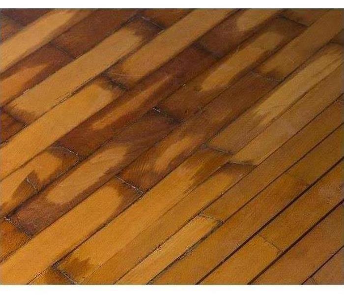 wood flooring saturated with water, servpro cleans up