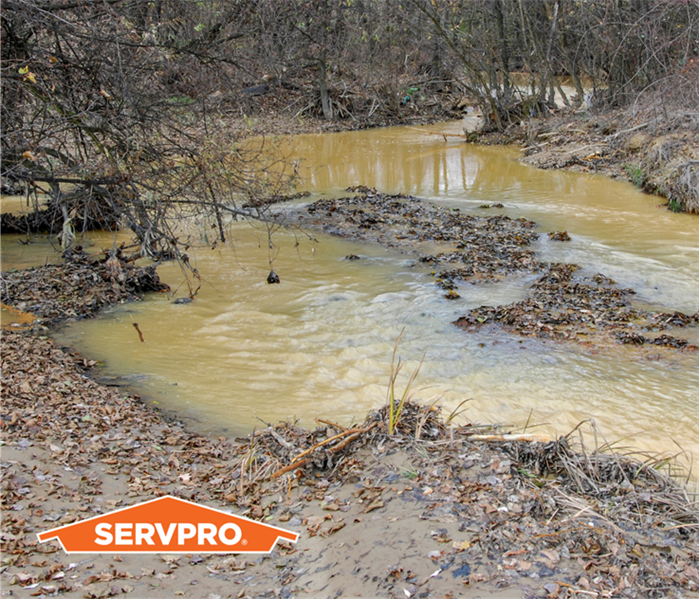 stream in woods after rainfall with muddy water, potential flood water causing water damage, murky brown water, SERVPRO logo