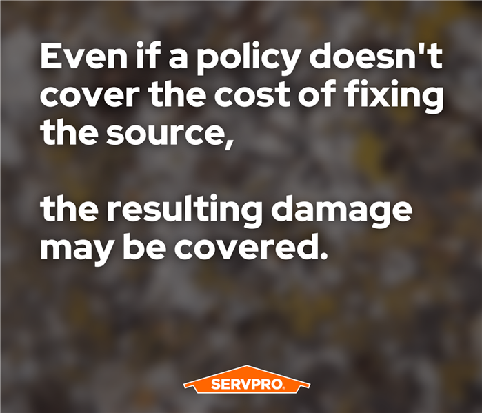 words about insurance coverage on a blurry dark background with a SERVPRO orange logo