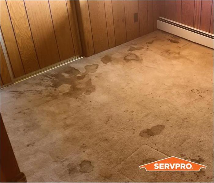 water stains on a carpet, beige carpet in a 1970s built house, wood paneling walls, orange SERVPRO logo in corner